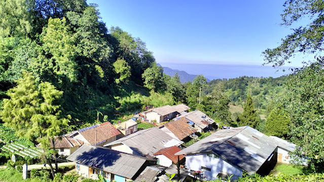 Mushroom Hill Rancabolang Ciwidey