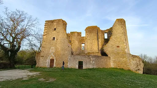 Château de Levroux