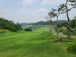 에콜리안 영광CC