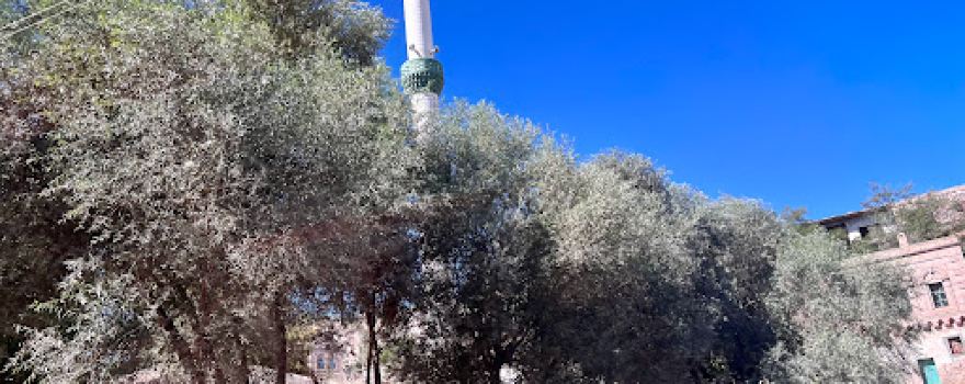 Demirci Aşağı Mahallesi Cami
