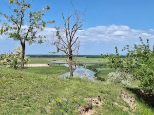 Piscul Crăsani