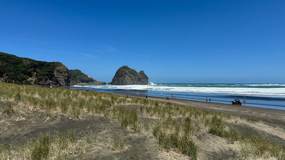 Muriwai Gannet Colony Beach
