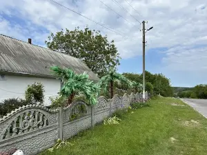 Luk'yanivsʹki Palʹmy Tarashchansʹkoho Rayonu