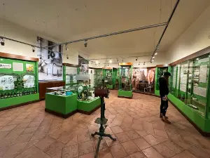 Pivovarské muzeum Hanušovice