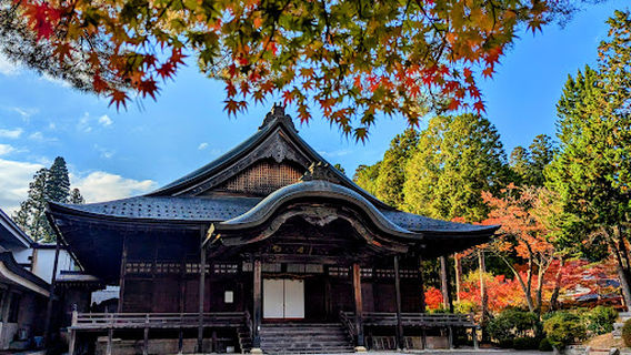 Koya