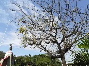 Francisco Bolognesi Park