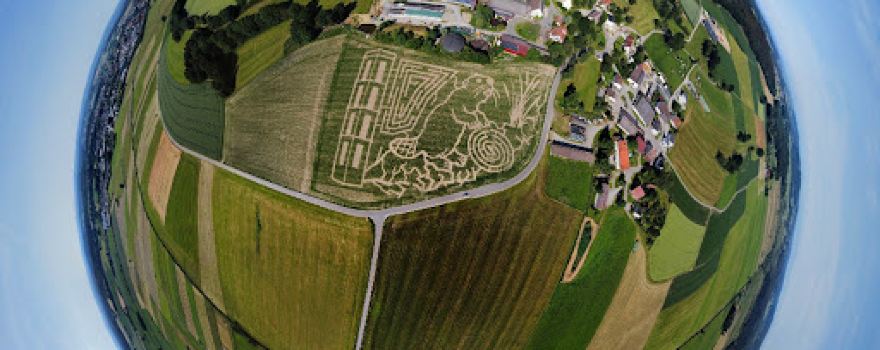Bannwaldlabyrinth Laubbach