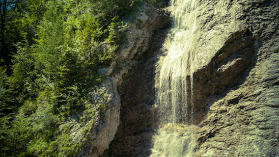 Lungern