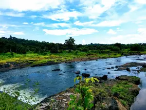 Badekar poultry farm,Asnoli