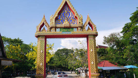Phachi