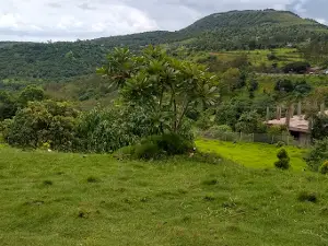 Gargoti City View Point