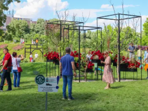 Parcul Drumul Taberei (Park Camp Road)