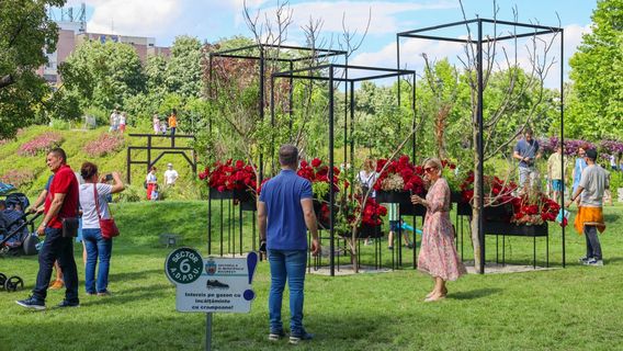 Parcul Drumul Taberei (Park Camp Road)