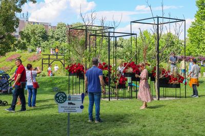Parcul Drumul Taberei (Park Camp Road)
