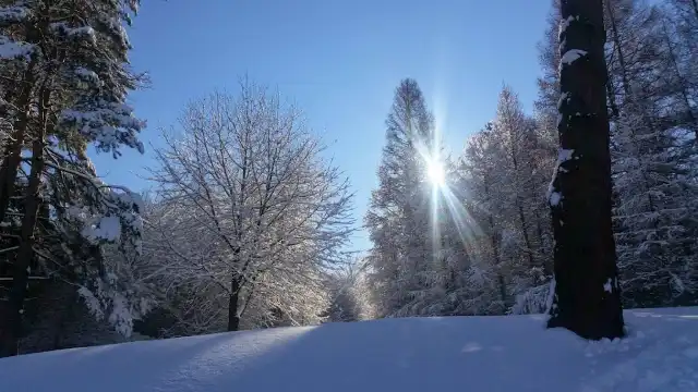 Skipark Filipov