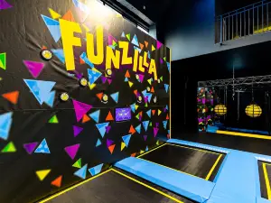 Funzilla