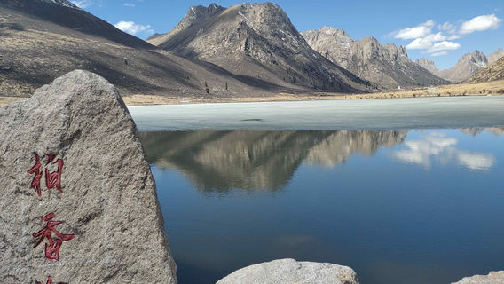 Cypress Fragrance Sea