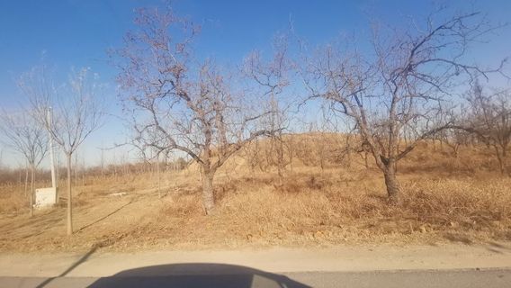 qian gao long hua gu mu ( yuan shao mu )