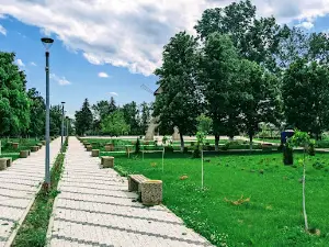 Moara de Vint Nisporeni