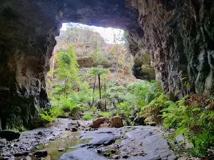 Wollemi National Park