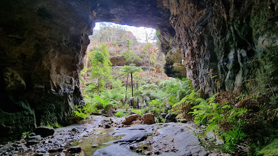 Wollemi National Park