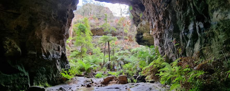Wollemi National Park