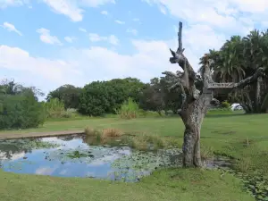 Scottburgh Golf Club