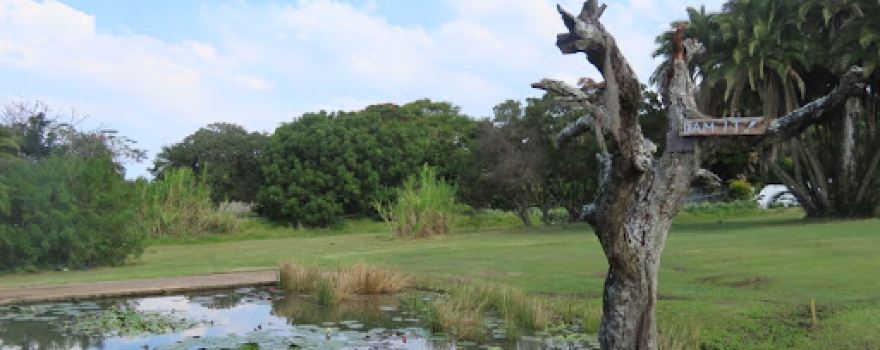 Scottburgh Golf Club