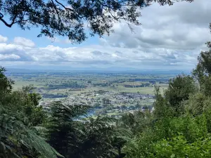 Hakarimata Summit Hiking Track