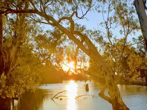 Aysons Reserve