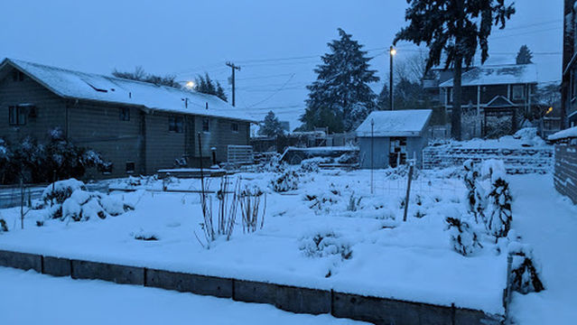 Roosevelt P-Patch Community Garden