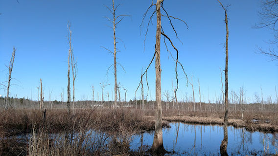 Ballston Creek Preserve