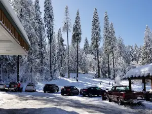 Chevron Pollock Pines