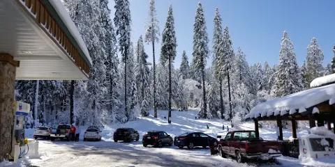 Chevron Pollock Pines