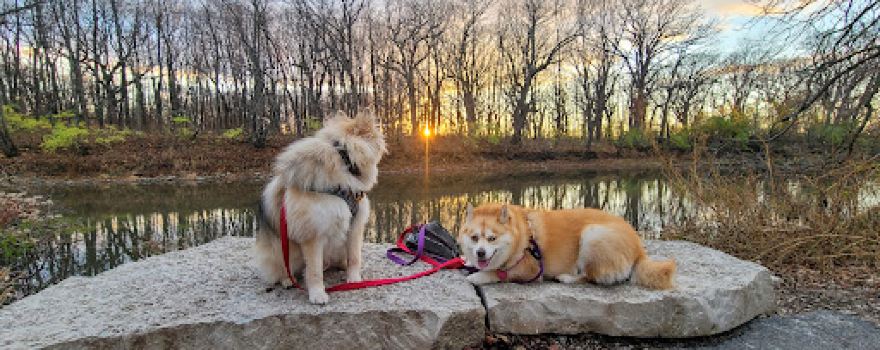 Aux Sable Park