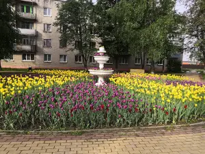 ヴォルシンスキー・セリスキー・ドム・クリトゥリ