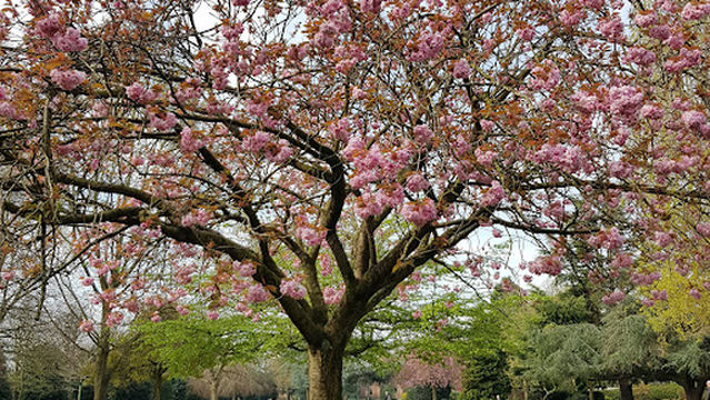 Children's Play Area - Grosvenor Park