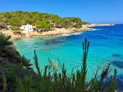 Cala Gat beach