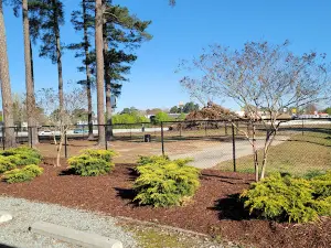 Benson Dog Park