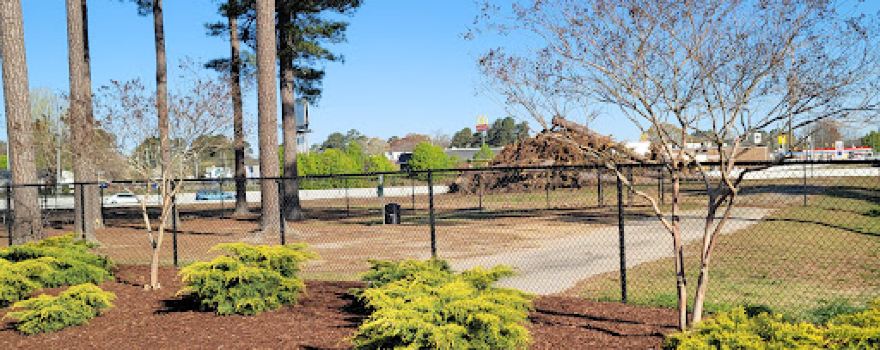Benson Dog Park