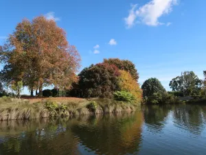 Auckland Botanic Gardens