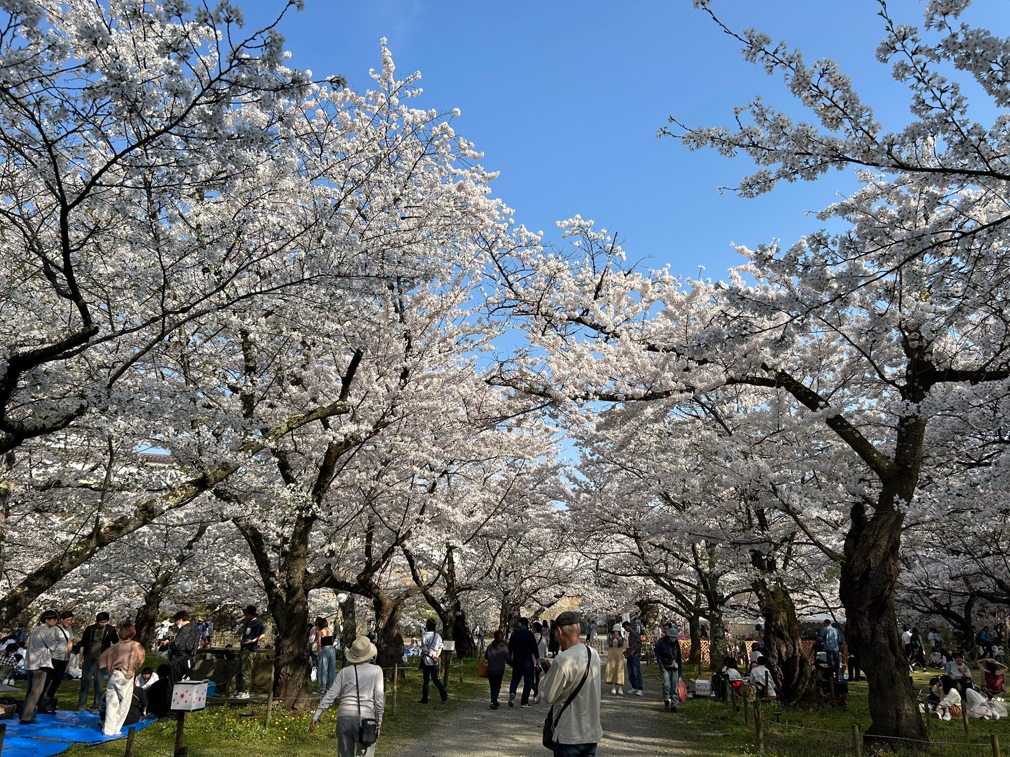 福島 鶴ヶ城 入場Eチケット 予約