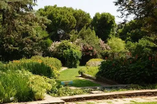 Hotels near Diomidous Botanical Garden