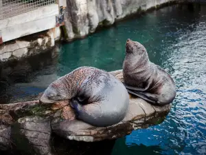 Living Coasts