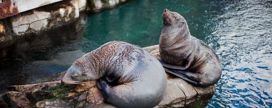 Living Coasts
