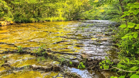 St. Francois State Park