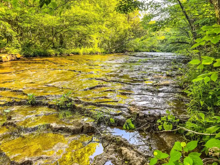 Hotels near Bonne Terre Mine "The Mine at Bonne Terre"