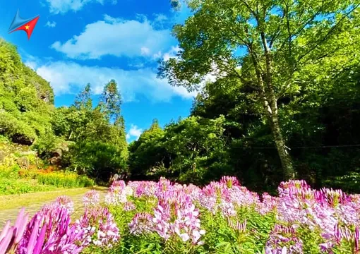 2_Ham Rong Sa Pa Eco-Tourism Area