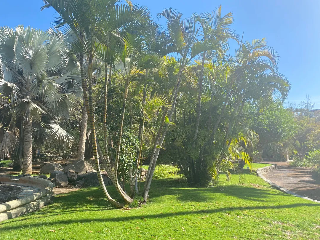 1_Botanical Park of Maspalomas (El Parque Botanico de Maspalomas)