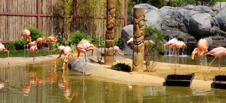 Hotels in West Orange